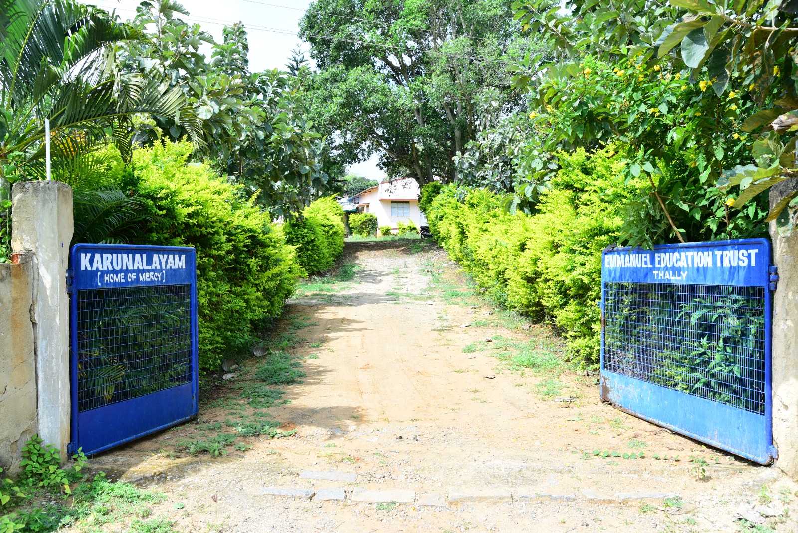 Emmanuel School Students